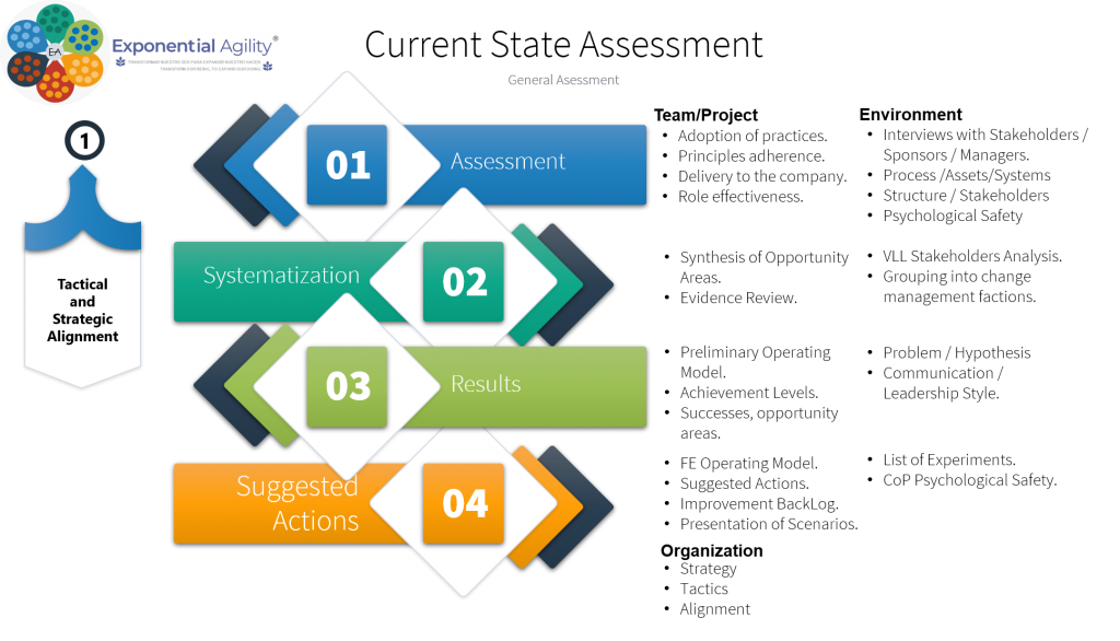 current-state-assessment-prioritization-and-initiatives-assessment