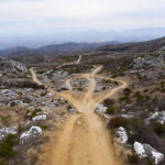 The Speed of Decision: Why CEOs Must Trade Control for Agility